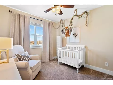 1101 Grand Ave, Windsor, CO 80550 photo 19