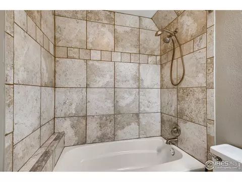 4411 E 115th Pl, Thornton, CO 80233 photo 24