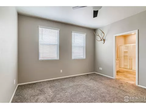1977 Floret Dr, Windsor, CO 80550 photo 17