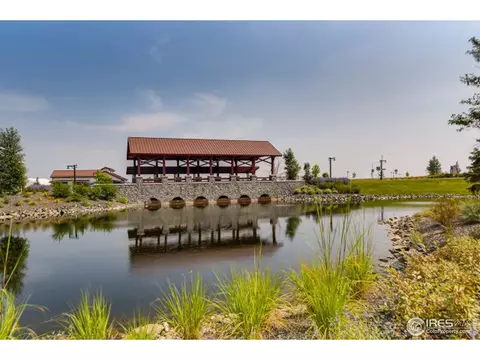 1977 Floret Dr, Windsor, CO 80550 photo 27