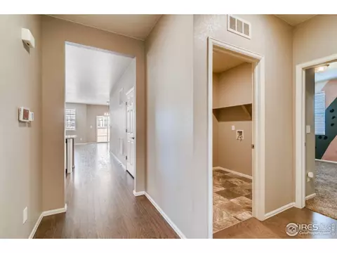 1977 Floret Dr, Windsor, CO 80550 photo 20