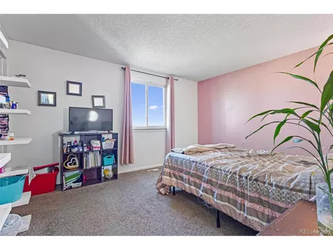 4343 E 93rd Pl, Thornton, CO 80229 photo 12