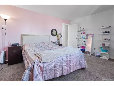 4343 E 93rd Pl, Thornton, CO 80229 photo 13