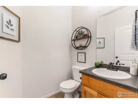 2127 Crop Row Dr, Windsor, CO 80550 photo 22
