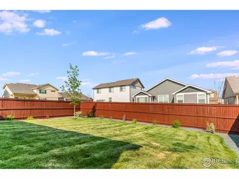2127 Crop Row Dr, Windsor, CO 80550 photo 25