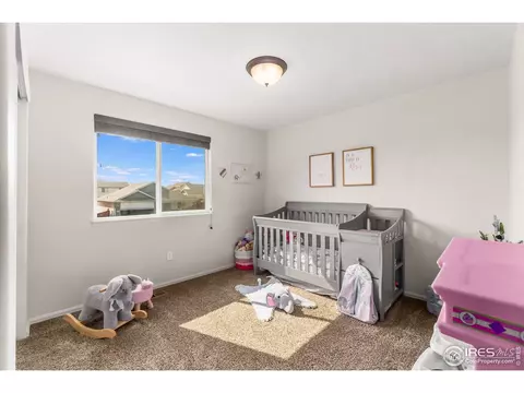 2127 Crop Row Dr, Windsor, CO 80550 photo 14