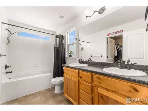 2127 Crop Row Dr, Windsor, CO 80550 photo 13