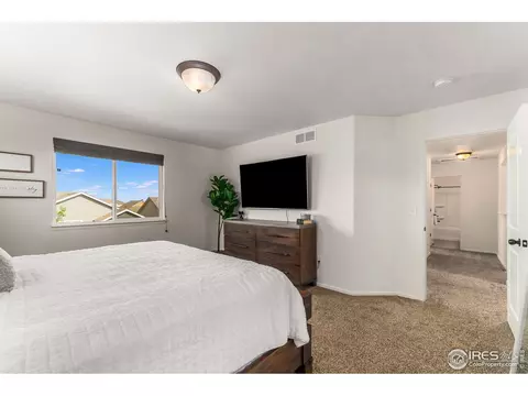 2127 Crop Row Dr, Windsor, CO 80550 photo 12