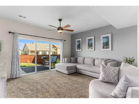 2127 Crop Row Dr, Windsor, CO 80550 photo 8