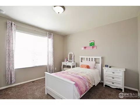 421 3rd St, Severance, CO 80550 photo 31