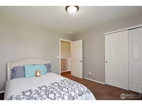 421 3rd St, Severance, CO 80550 photo 27