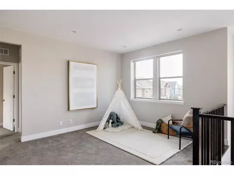 9740 E 59th Dr, Denver, CO 80238 photo 13