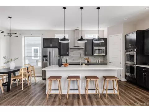 9740 E 59th Dr, Denver, CO 80238 photo 7