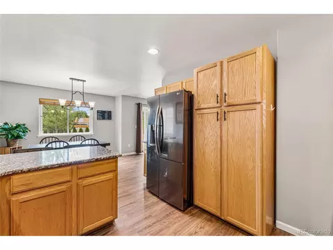 1016 Basin Ct, Windsor, CO 80550 photo 15