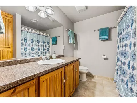 1016 Basin Ct, Windsor, CO 80550 photo 31
