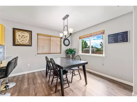 1016 Basin Ct, Windsor, CO 80550 photo 10