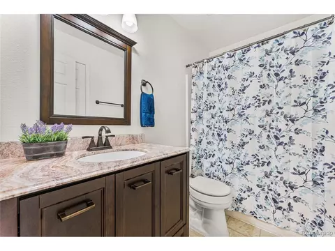 1016 Basin Ct, Windsor, CO 80550 photo 24