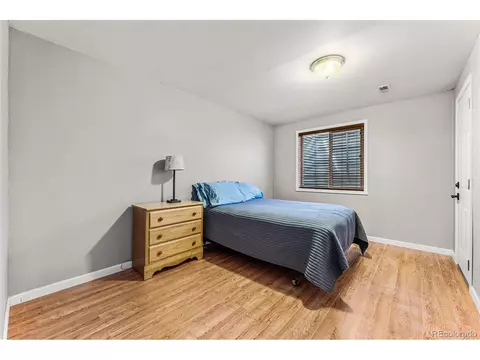 1016 Basin Ct, Windsor, CO 80550 photo 28