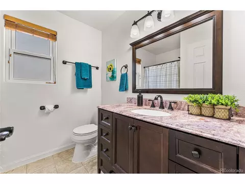 1016 Basin Ct, Windsor, CO 80550 photo 20