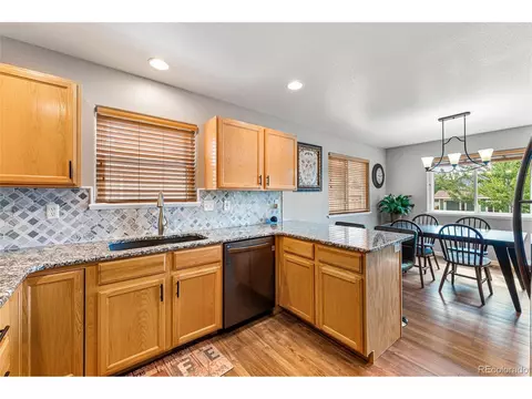 1016 Basin Ct, Windsor, CO 80550 photo 14