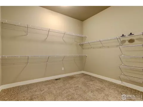 1264 Barn Owl Ct, Windsor, CO 80550 photo 14