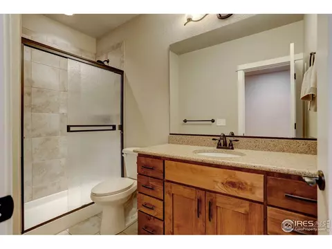 1264 Barn Owl Ct, Windsor, CO 80550 photo 24