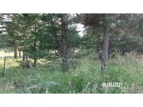 61 Mountain View Rd, Boulder, CO 80302 photo 7