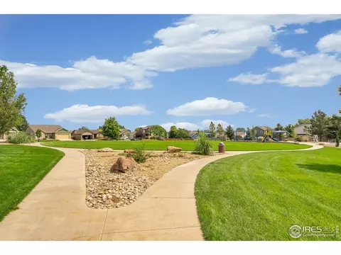 502 Prairie Clover Way, Severance, CO 80550 photo 34