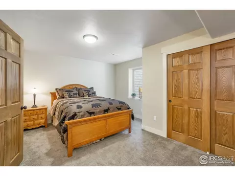 502 Prairie Clover Way, Severance, CO 80550 photo 28