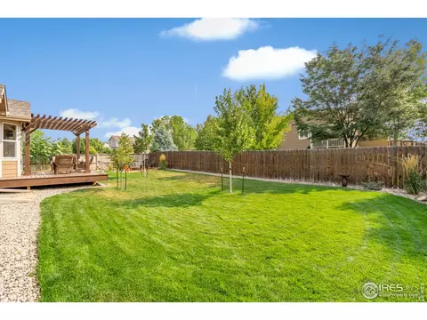 502 Prairie Clover Way, Severance, CO 80550 photo 32