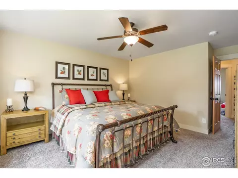 502 Prairie Clover Way, Severance, CO 80550 photo 16