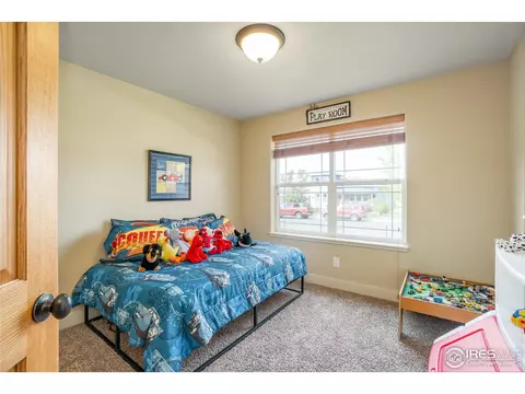 502 Prairie Clover Way, Severance, CO 80550 photo 21
