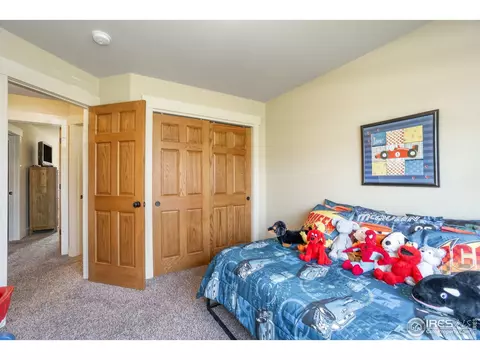 502 Prairie Clover Way, Severance, CO 80550 photo 22