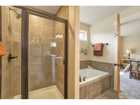 502 Prairie Clover Way, Severance, CO 80550 photo 19