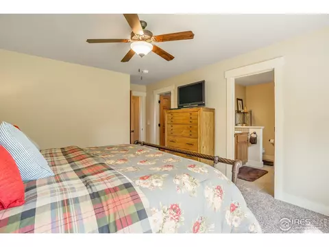 502 Prairie Clover Way, Severance, CO 80550 photo 17