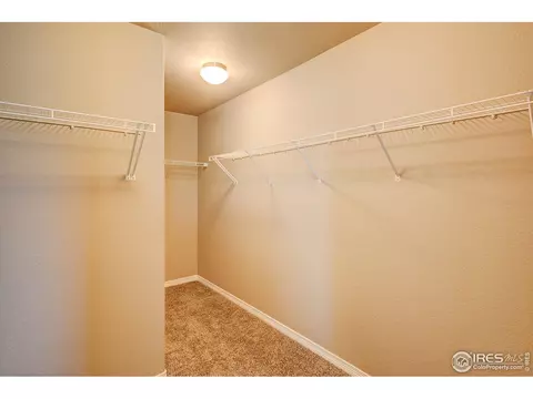 1746 Littlewick Dr, Windsor, CO 80550 photo 22