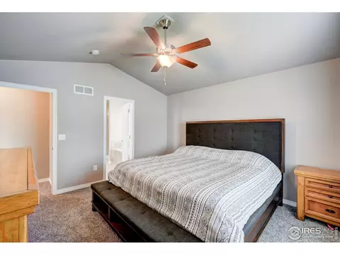 1746 Littlewick Dr, Windsor, CO 80550 photo 18