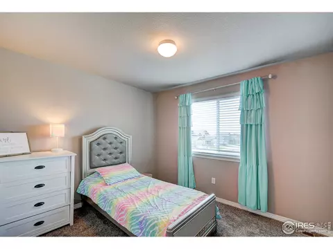 1746 Littlewick Dr, Windsor, CO 80550 photo 30