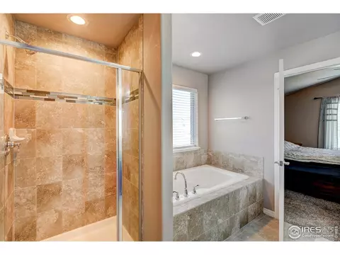 1746 Littlewick Dr, Windsor, CO 80550 photo 21