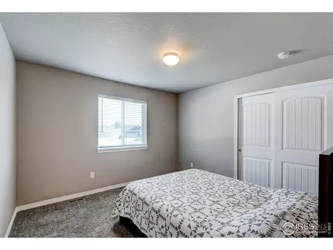 1746 Littlewick Dr, Windsor, CO 80550 photo 23