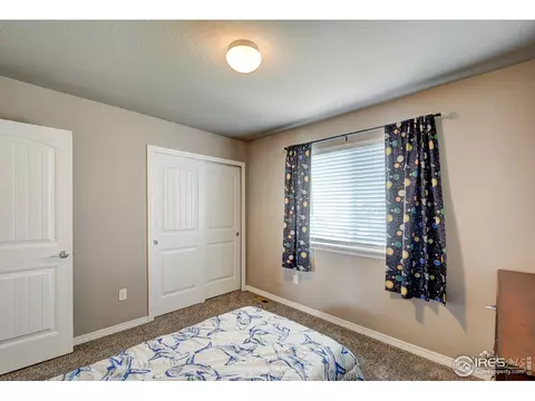1746 Littlewick Dr, Windsor, CO 80550 photo 29