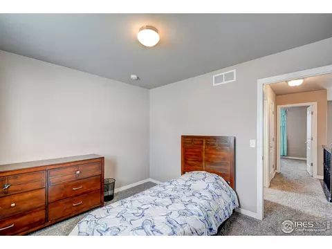1746 Littlewick Dr, Windsor, CO 80550 photo 28
