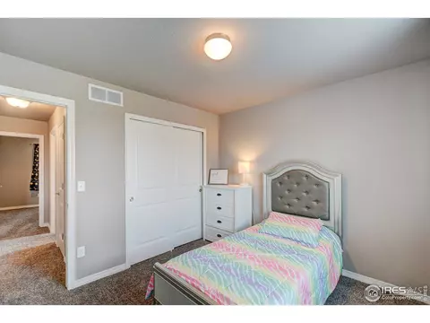 1746 Littlewick Dr, Windsor, CO 80550 photo 31
