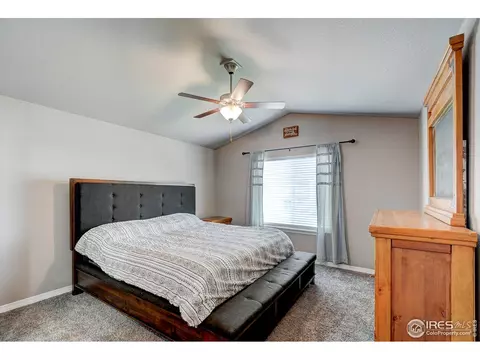 1746 Littlewick Dr, Windsor, CO 80550 photo 17
