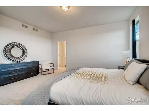 1789 Branching Canopy Dr, Windsor, CO 80550 photo 14