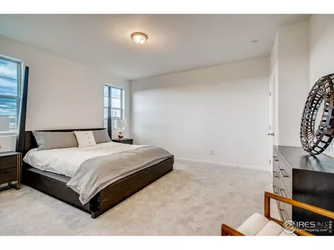 1789 Branching Canopy Dr, Windsor, CO 80550 photo 20
