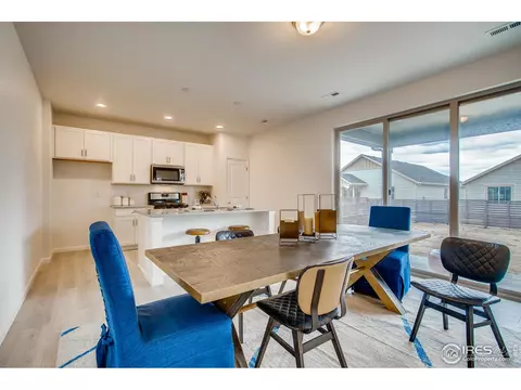 1789 Branching Canopy Dr, Windsor, CO 80550 photo 3
