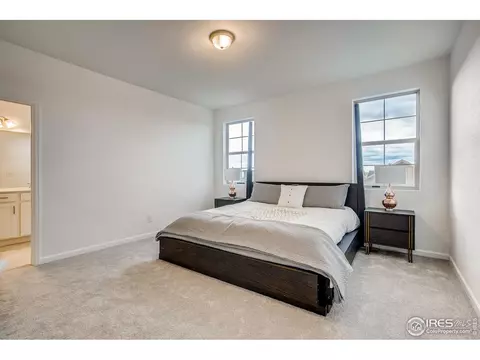 1789 Branching Canopy Dr, Windsor, CO 80550 photo 15