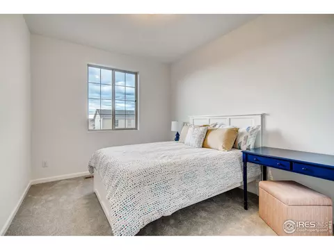 1789 Branching Canopy Dr, Windsor, CO 80550 photo 17