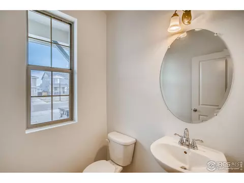 1789 Branching Canopy Dr, Windsor, CO 80550 photo 16